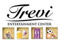 Trevi Entertainment Center image 2