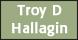 Troy Hallagin Pa logo