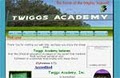Twiggs Academy logo