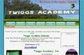 Twiggs Academy image 1