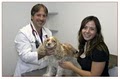 University Animal Hospital image 2