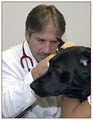 University Animal Hospital image 3