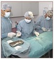 University Animal Hospital image 7