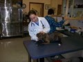 VCA Montgomery Road Animal Hospital image 7