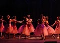 Virginia Ballet Theatre image 3