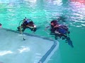 W w Diving Co image 2
