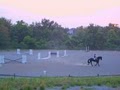 Whitings Neck Equestrian Center image 3