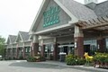 Whole Foods Market - West Hartford logo