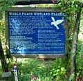 World Peace Wetland Prairie image 3
