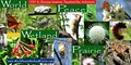 World Peace Wetland Prairie image 1