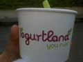 Yogurtland Downtown Berkeley image 2