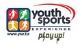 Youth Sports Experience logo