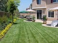 www.LawnCuts420.com image 1