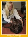 4TheLuvOfDogz image 9