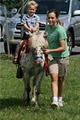 A Traveling Petting Zoo and Pony Ride Party by Sleepy Hollow Farm image 4