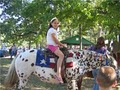 A Traveling Petting Zoo and Pony Ride Party by Sleepy Hollow Farm image 8