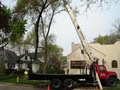 Abel's Tree Removal image 2
