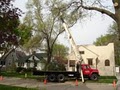 Abel's Tree Removal image 3