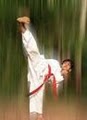 America's Best Karate Center / Martial Arts El Paso image 3