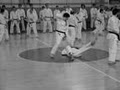 America's Best Karate Center / Martial Arts El Paso image 4