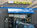 Aqua Life Aquarium Services image 2