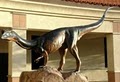 Arizona Museum of Natural History image 3