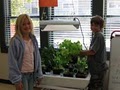 Atlantis Hydroponics image 7