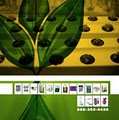 Atlantis Hydroponics image 8
