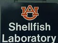 Auburn University Shellfish Laboratory image 2
