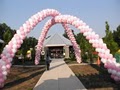 Ballroom Balloons image 6