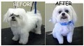 Bark'ers Pet Salon image 5