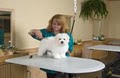 Best Friends Pet Care Inc image 7