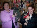 Blaze-N-Skyy Pet Boutique & Wellness Center image 4