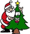 Blue Ridge Christmas Tree Farm logo