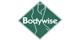 Bodywise Therapeutic Massage image 1