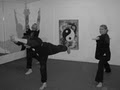 Carlisle Kung Fu Center image 8