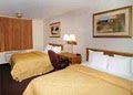 Comfort Inn image 8