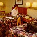 Comfort Inn image 10