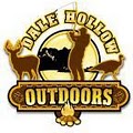 Dale Hollow Outdoors image 2