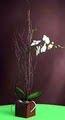 Darryl Wiseman Flowers, Florist, Midtown,  Buckhead, Roswell, Metro Atlanta image 2