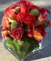 Darryl Wiseman Flowers, Florist, Midtown,  Buckhead, Roswell, Metro Atlanta logo
