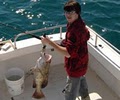 Deep Sea Fishing Clearwater Stay Tuned Charters image 3