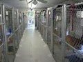 Dellwood Kennel image 7