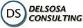 Delsosa Consulting logo