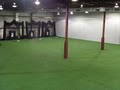 Diamond Turf Baseball & Softball Training Facility image 6