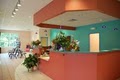 Dogwood Veterinary Hospital & Pet Resort image 3