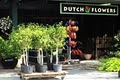 Dutch Flowers logo
