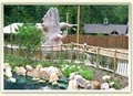 Elmwood Park Zoo image 7