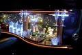 Exceptional Limo image 2