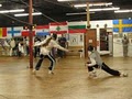 Fencing Institute of Texas Inc image 1